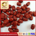 Chinese Red Jujube for Exporting Bulk Price